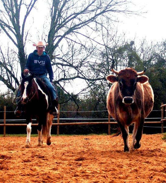 Initiation ranch et bétail à Canapville - Ranch de La Boscraie