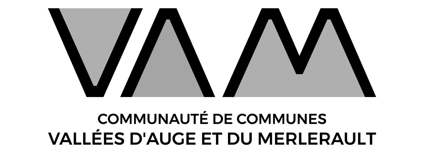 logo vam gris